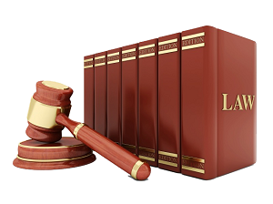 이혼 등 청구의 소-판례(출처-법제처)